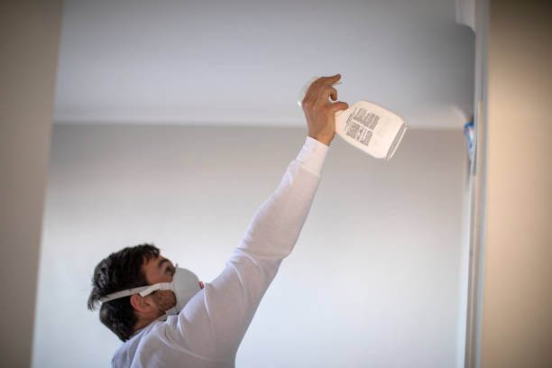 Best Commercial Mold Removal  in Big Bear Lake, CA